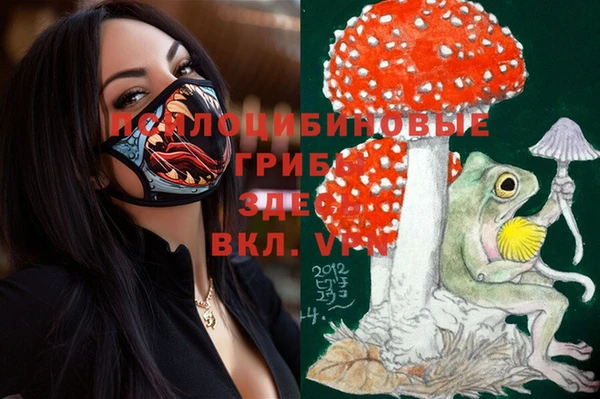 прущий лед Переславль-Залесский
