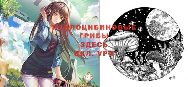 a pvp Богородицк